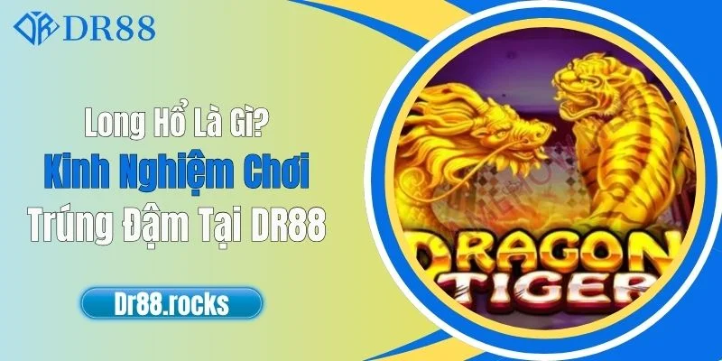 Long Hổ Là Gì? Kinh Nghiệm Chơi Trúng Đậm Tại DR88